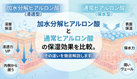 加水分解ヒアルロン酸と通常ヒアルロン酸の保湿効果を比較。その違いを徹底解説します。